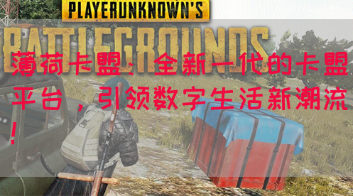 薄荷卡盟：全新一代的卡盟平台，引领数字生活新潮流！