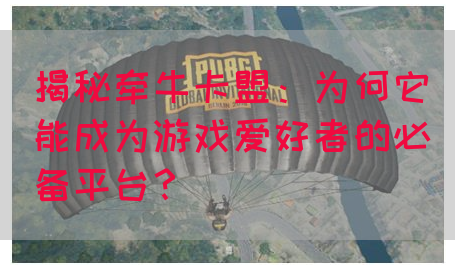 揭秘牵牛卡盟：为何它能成为游戏爱好者的必备平台？