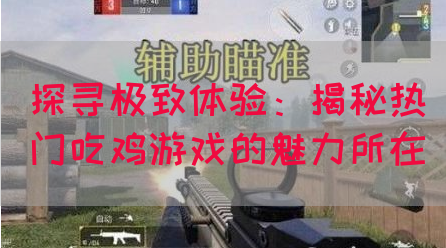 探寻极致体验：揭秘热门吃鸡游戏的魅力所在