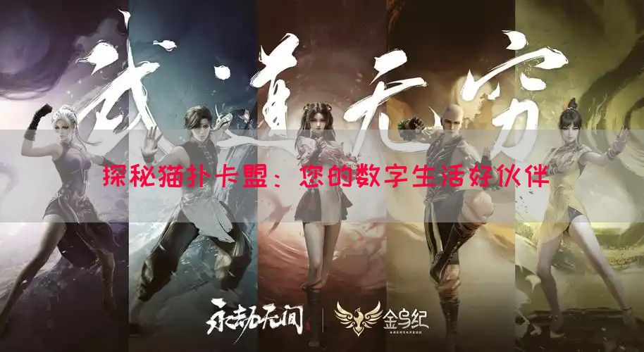 探秘猫扑卡盟：您的数字生活好伙伴