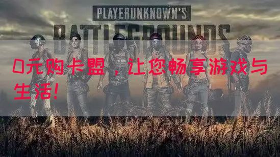 0元购卡盟，让您畅享游戏与生活！