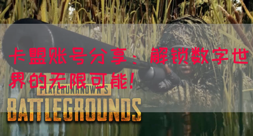 卡盟账号分享：解锁数字世界的无限可能！