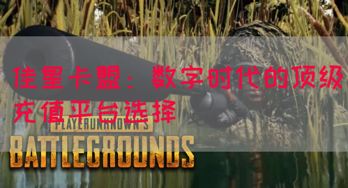 佳星卡盟：数字时代的顶级充值平台选择