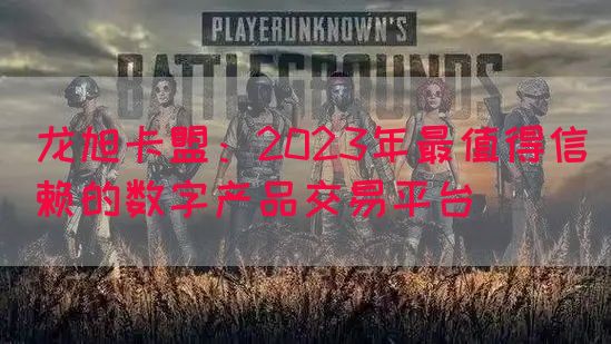 龙旭卡盟：2023年最值得信赖的数字产品交易平台