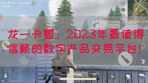 龙一卡盟：2023年最值得信赖的数字产品交易平台！