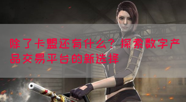 除了卡盟还有什么？探索数字产品交易平台的新选择