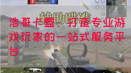 浩哥卡盟：打造专业游戏玩家的一站式服务平台
