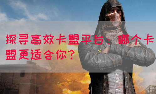 探寻高效卡盟平台：哪个卡盟更适合你？