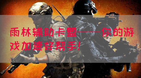 雨林辅助卡盟——你的游戏加速好帮手！