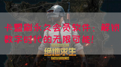 卡盟刷永久会员软件：解锁数字时代的无限可能！