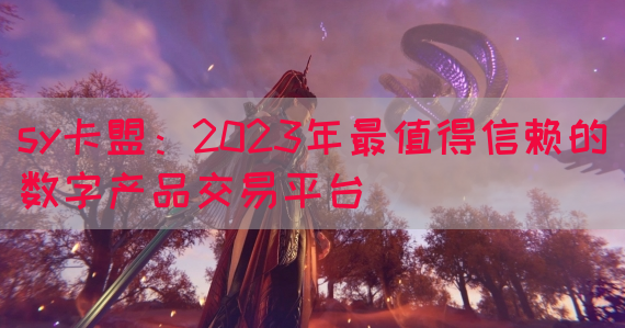 sy卡盟：2023年最值得信赖的数字产品交易平台