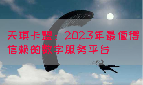 天琪卡盟：2023年最值得信赖的数字服务平台