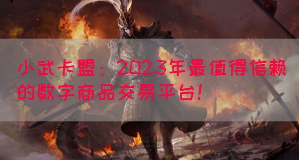 小武卡盟：2023年最值得信赖的数字商品交易平台！
