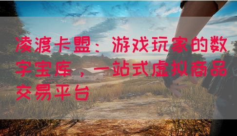 凌渡卡盟：游戏玩家的数字宝库，一站式虚拟商品交易平台