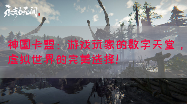 神国卡盟：游戏玩家的数字天堂，虚拟世界的完美选择！