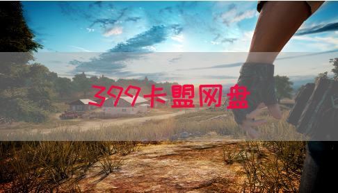 399卡盟网盘