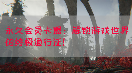 永久会员卡盟：解锁游戏世界的终极通行证！