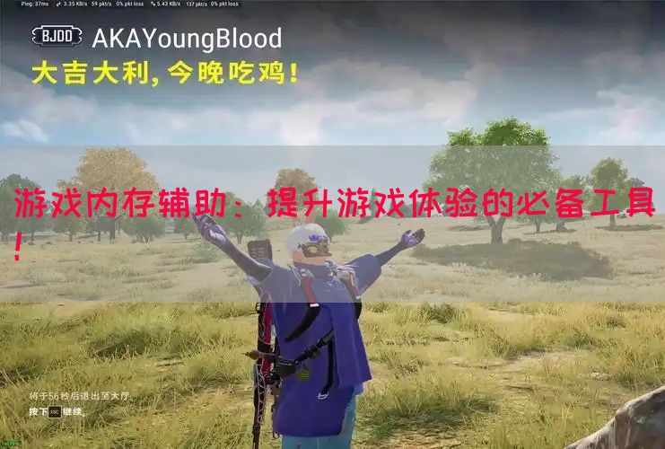 游戏内存辅助：提升游戏体验的必备工具！