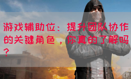 游戏辅助位：提升团队协作的关键角色，你真的了解吗？