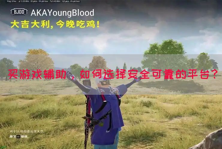 买游戏辅助，如何选择安全可靠的平台？