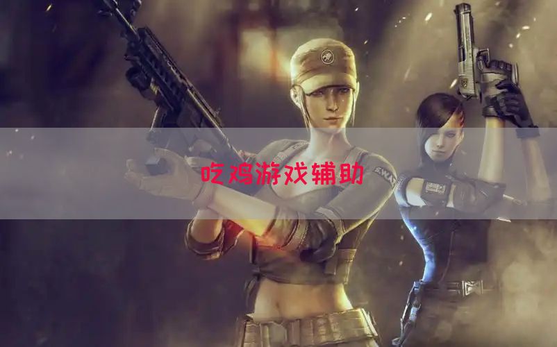 吃鸡游戏辅助