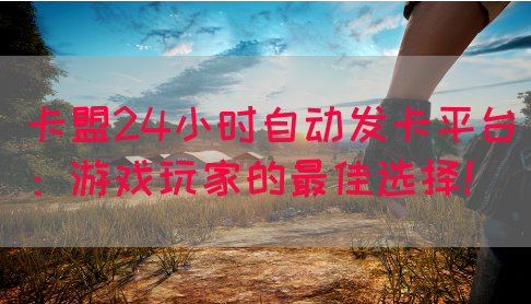 卡盟24小时自动发卡平台：游戏玩家的最佳选择！