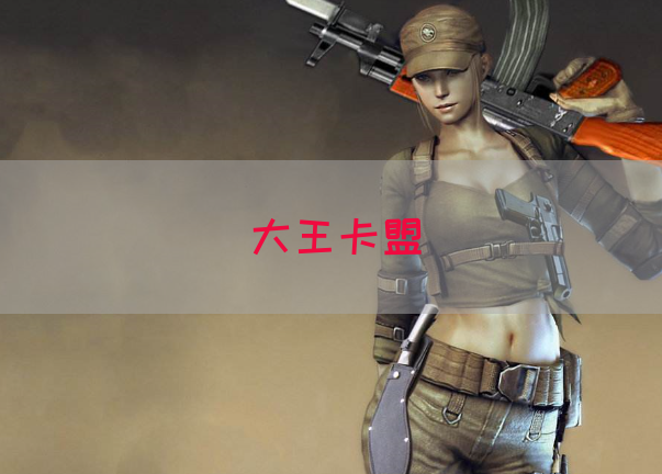 大王卡盟