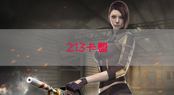 213卡盟