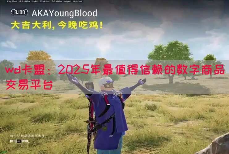 wd卡盟：2025年最值得信赖的数字商品交易平台