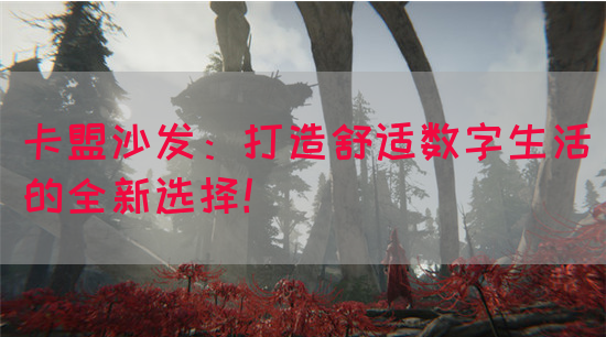 卡盟沙发：打造舒适数字生活的全新选择！