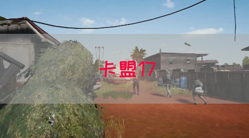 卡盟17