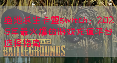绝地求生卡盟switch：2025年最火爆的游戏充值平台选择指南