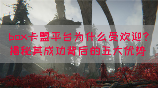 box卡盟平台为什么受欢迎？揭秘其成功背后的五大优势