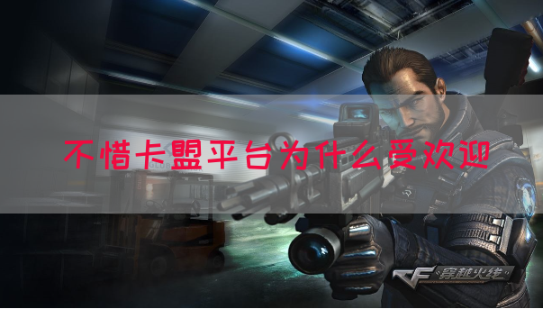 不惜卡盟平台为什么受欢迎